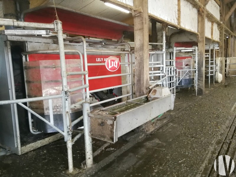 ORNE Dairy farm with 705,000 liters of milk on 85 hectares. - 