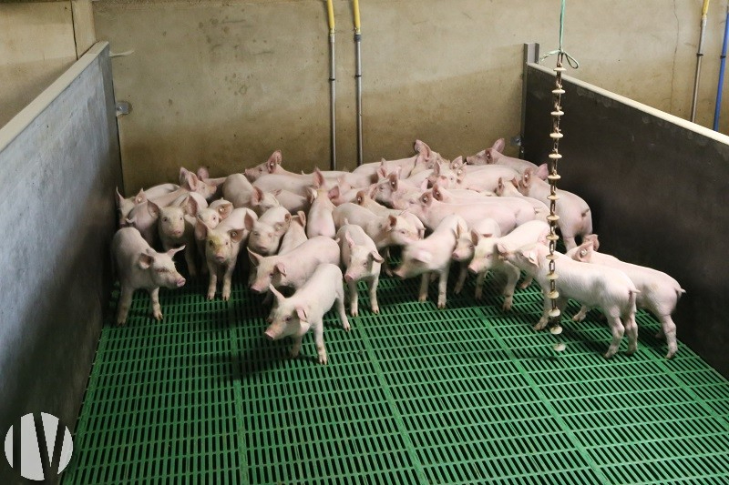 CÔTES D’ARMOR.  Pig farm 390 farrow-to-finish sows, slurry treatment and methanisation plant - 