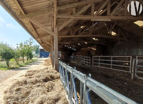 VERKOCHT IN 2024 – MAYENNE. Boerderij van 72 hectare voor directe verkoop - 