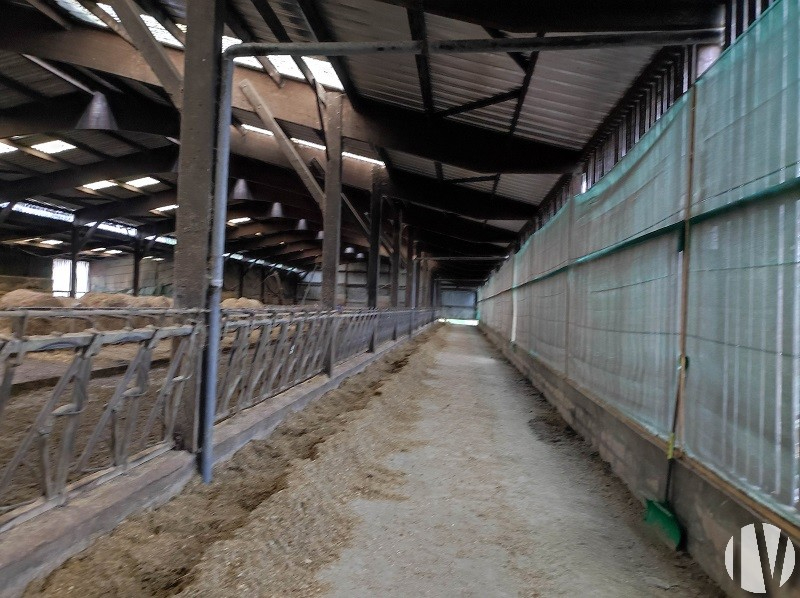 CENTRE MANCHE. Site agricole de 116 hectares dont 105 à l’achat - 