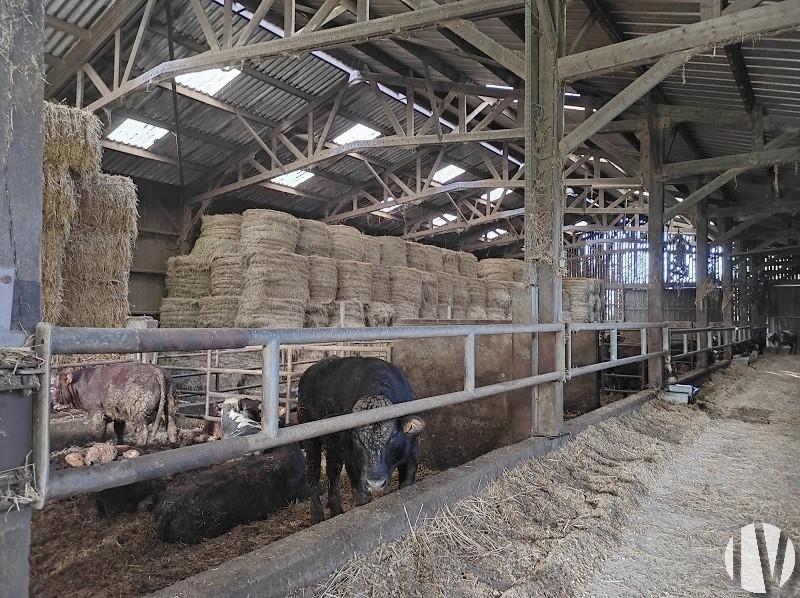 CENTRE MANCHE. Site agricole de 116 hectares dont 105 à l’achat - 