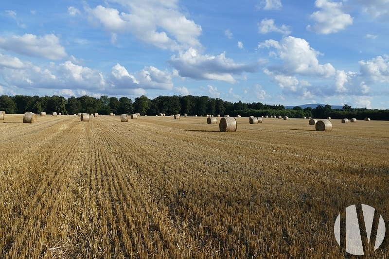 SOUTH VIENNA. Grouped field crop farm with irrigation - 