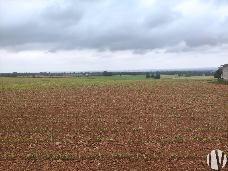 CHARENTE. Oost-Angoulême, rundveebedrijf op 280 hectare - 