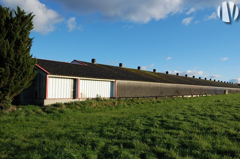 NORD FINISTERE. Exploitation laitière de 410 000 litres sur 78 hectares, avec un atelier avicole - 