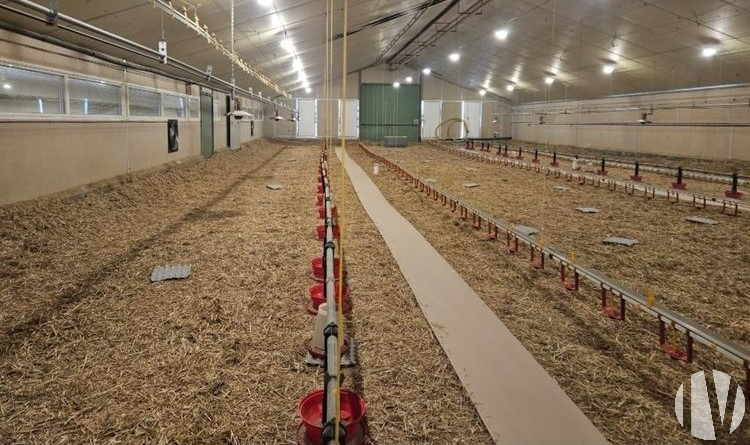 NORD VENDEE. Efficient poultry farm on 3500m2 - 