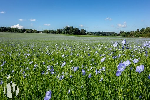 ZELDZAAM. WEST FRANKRIJK. Manege op 15 hectare - 