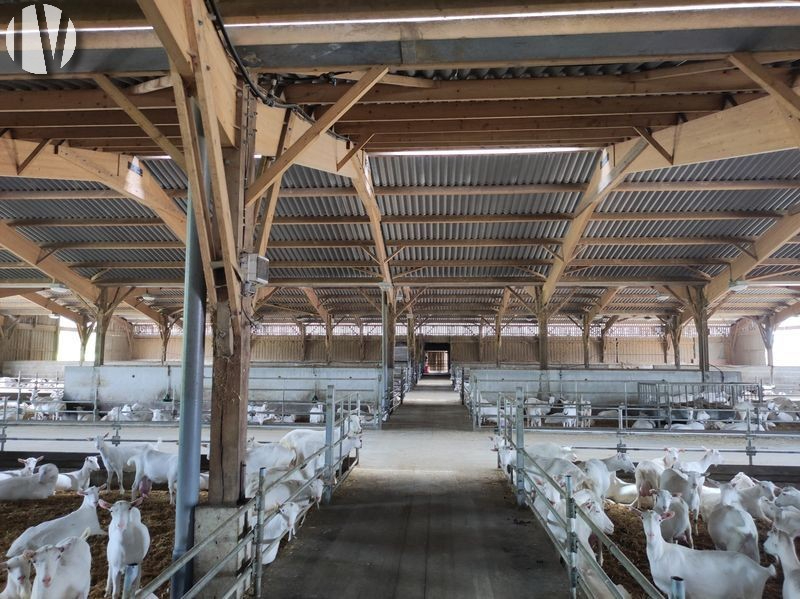 PAYS DE LA LOIRE. Propriété agricole de 105 hectares en agrotourisme et production caprine - 