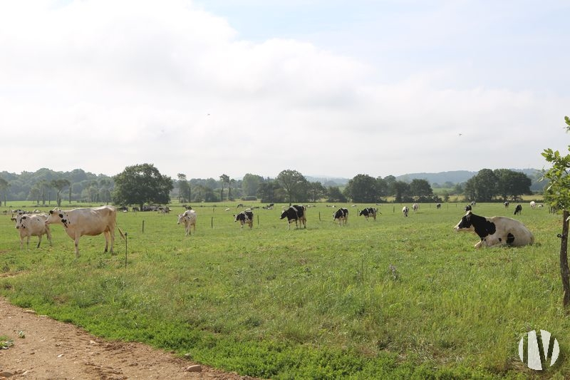 CÔTES D’ARMOR.  Modern dairy farm in the north-east of the department - 