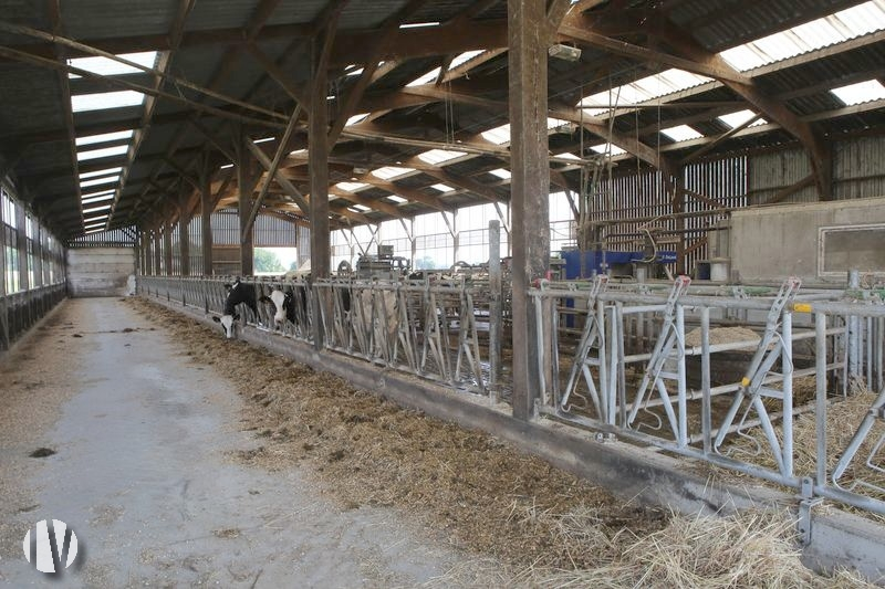 CÔTES D’ARMOR.  Modern dairy farm in the north-east of the department - 