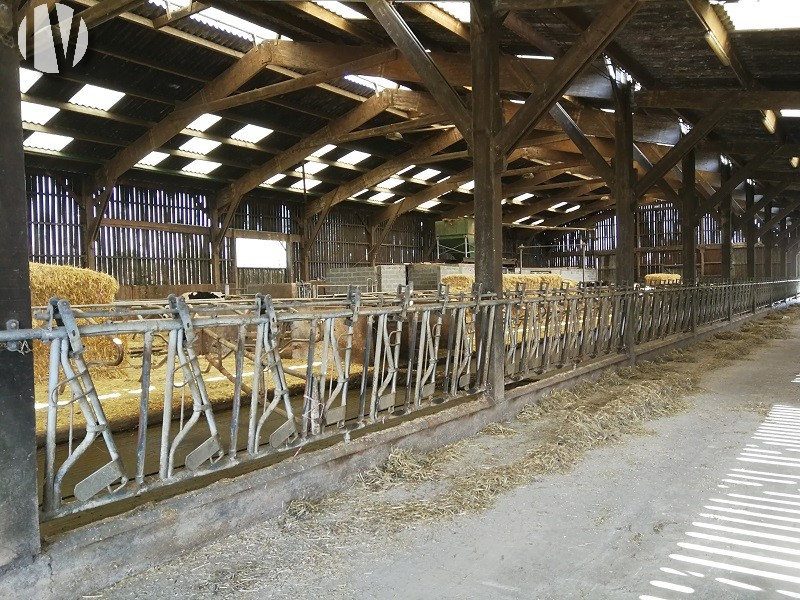 CALVADOS. PDO dairy farm in a dynamic agricultural sector, 65 grouped hectares. - 