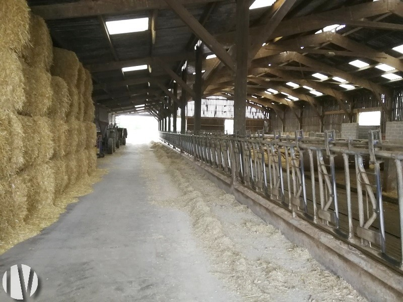 CALVADOS. Exploitation laitière en AOP dans un secteur agricole dynamique, 65 hectares groupés - 