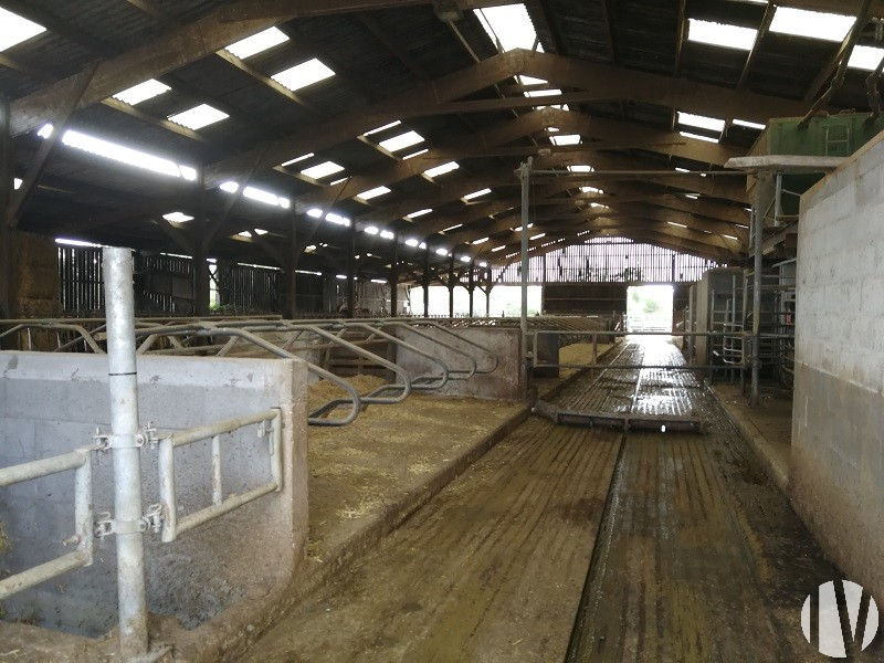 CALVADOS. PDO dairy farm in a dynamic agricultural sector, 65 grouped hectares. - 