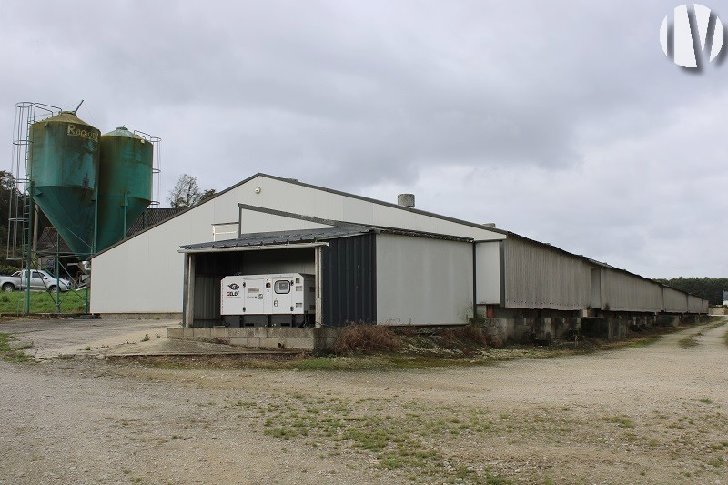 MORBIHAN. Exploitation avicole 4000 m² de volailles de chair sur 22 hectares - 