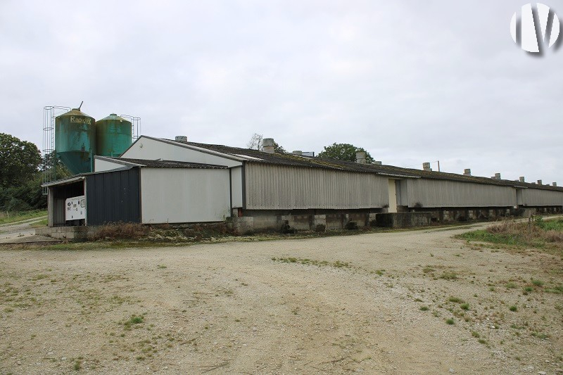 MORBIHAN. Exploitation avicole 4000 m² de volailles de chair sur 22 hectares - 