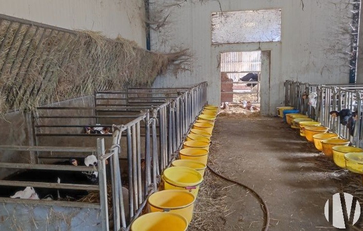 VENDEE. Exploitation laitière sur 170 hectares - 