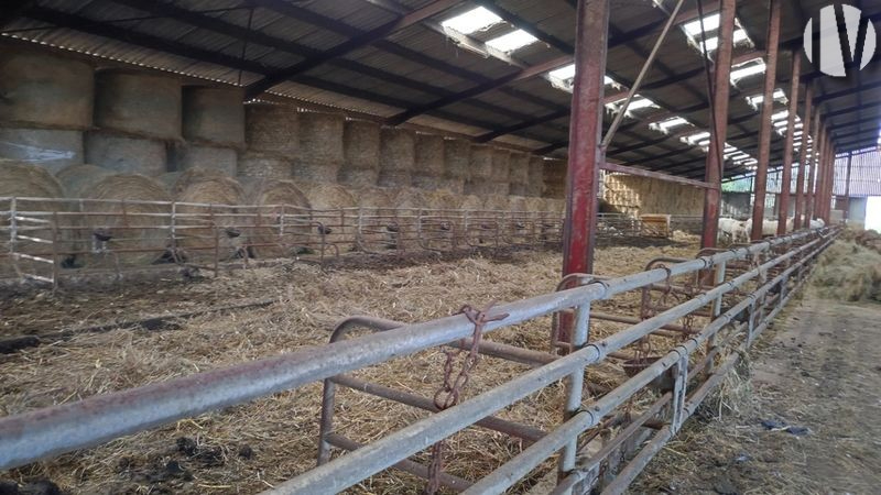 VENDEE. Grande propriété rurale avec 220 hectares - 