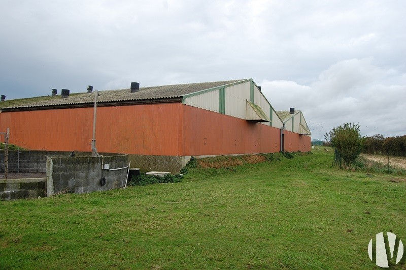 NORTH FINISTERE. Pig farm covering 145 hectares - 