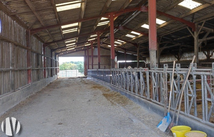 VENDEE. Exploitation laitière sur 250 hectares - 