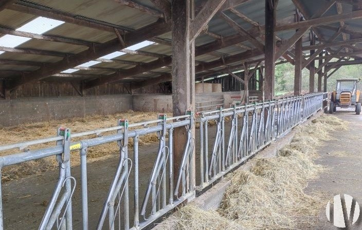 VENDEE. Exploitation laitière sur 62 hectares - 