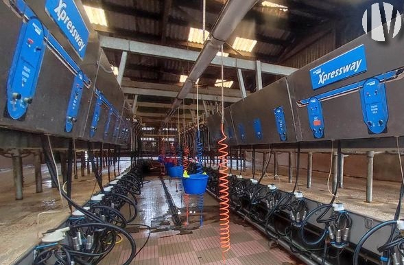 CENTRE MANCHE. Dairy farm covering over 200 hectares, with high-performance processing. - 