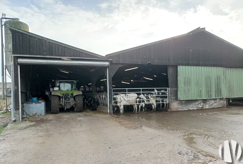 MORBIHAN. 1,000,000 litres of milk on 143 hectares in the south of the department - 