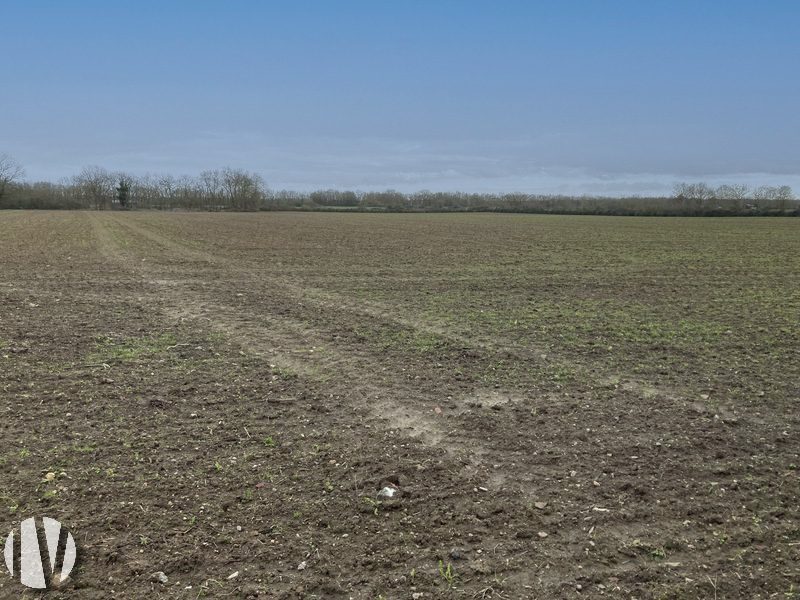 LOIRE ATLANTIQUE. Beautiful cereal farm on 102 hectares - 