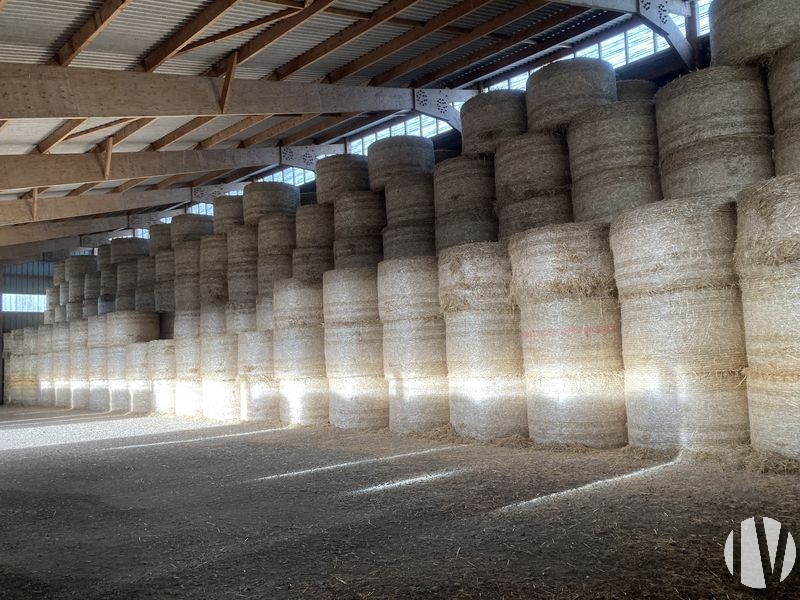 LOIRE ATLANTIQUE. Belle exploitation céréalière sur 102 hectares - 