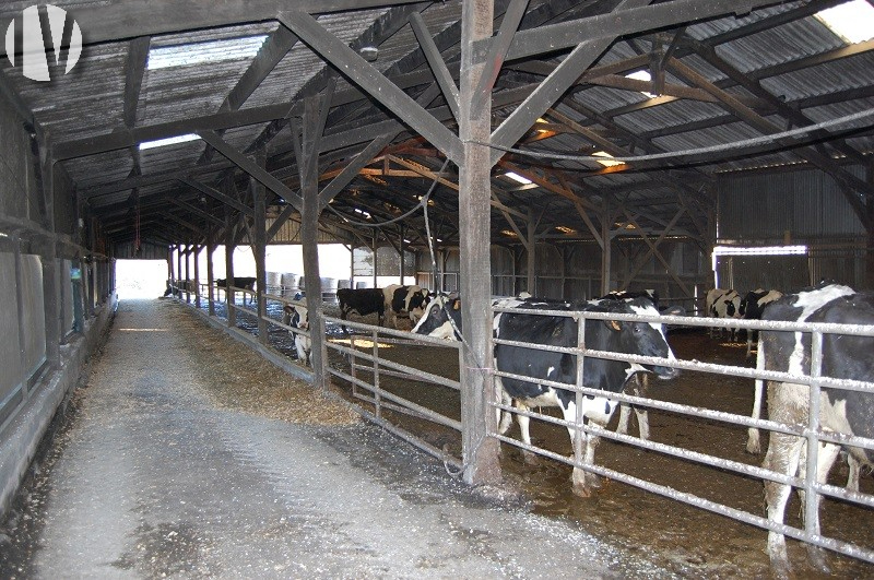 FINISTERE. Dairy on 94 grouped hectares - 