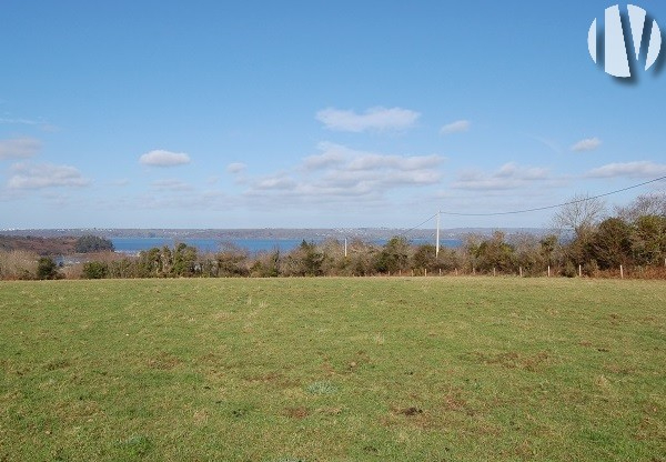 FINISTERE. Land investment 78 hectares - 