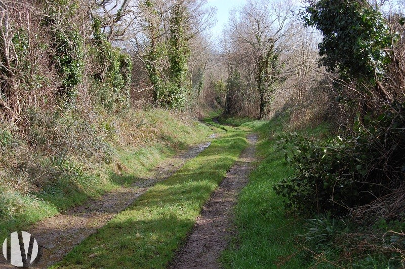 FINISTERE. Land investment 78 hectares - 