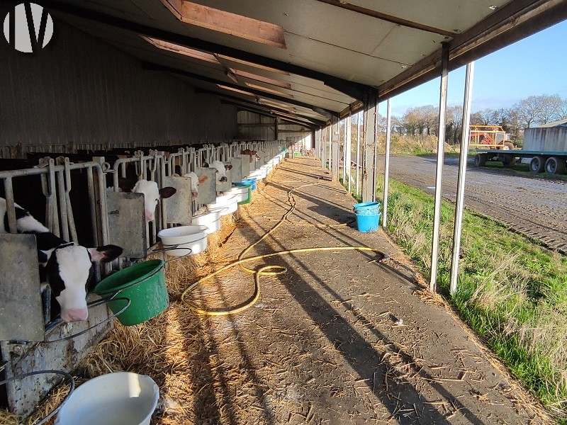 CÔTES D’ARMOR. Lait 1,5 million de litres dans un secteur dynamique - 