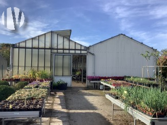 LIMOUSIN. Kwekerij en tuinbouw in het hart van Creuse - 