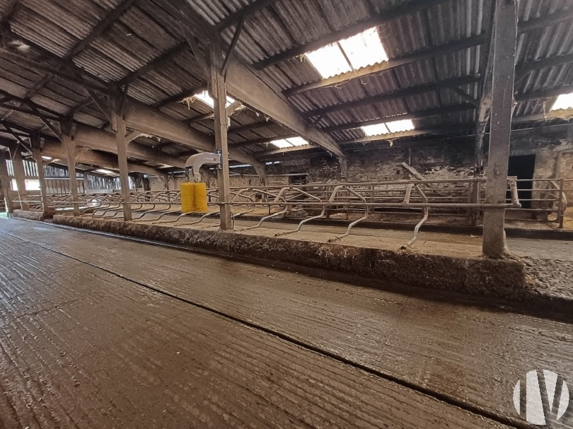 MANCHE Belle structure de 90 hectares avec demeure de caractère dans le Cotentin. - 