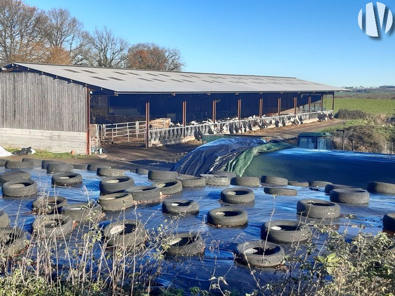 NOORD CHARENTE . Melkveebedrijf van 90 hectare met ontwikkelingspotentieel - 