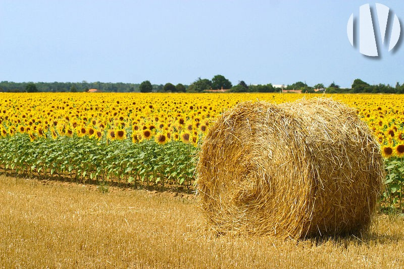 Dordogne. 120ha akkerbouwland in twee blokken - 