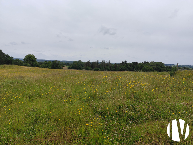 COTES D’ARMOR – Propriété équestre de 34 hectares - 