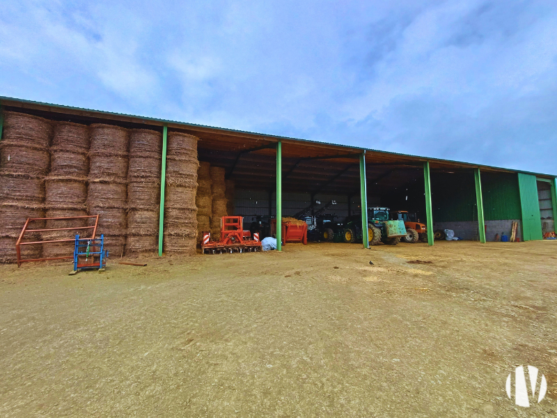 NORTH MAYENNE. Very fine dairy farm, 1,000,000 litres of milk on 200 hectares. - 