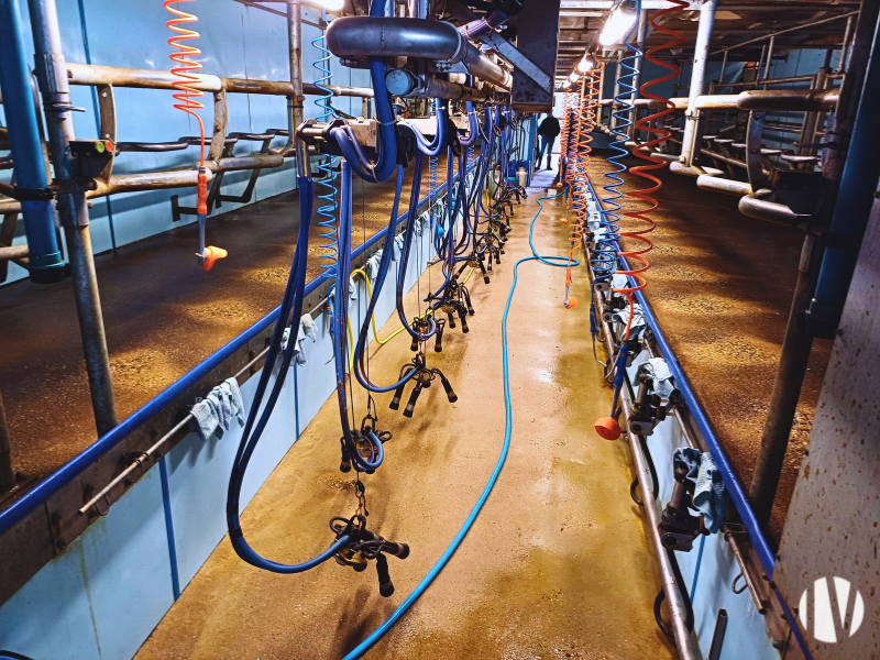 NORD MAYENNE. Très belle exploitation laitière, 1 000 000 de litres de lait sur 200 hectares - 