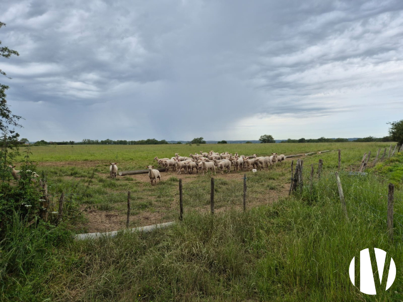 VIENNE, prachtig boerderijcomplex met goede winstgevendheid voor investeerders - 