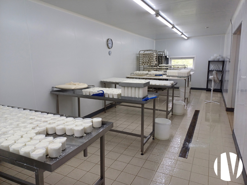 COTES D’ARMOR, Goat farm with processing facilities offering a wide range of products - 