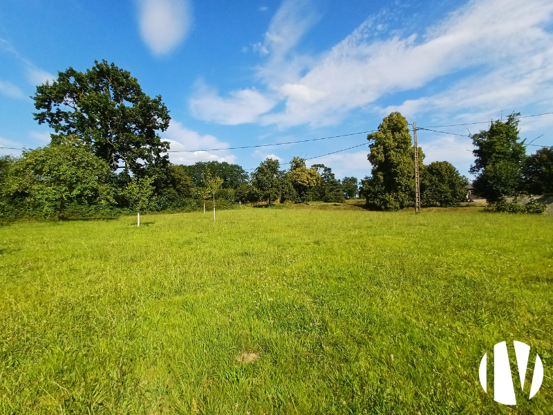 CENTRUM MANCHE Landhuis en boerderij van 75 hectare - 