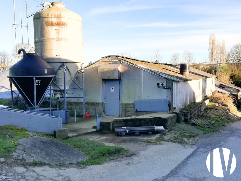 MORBIHAN. Pig farm, post-weaning and fattening facility on 110 hectares. - 