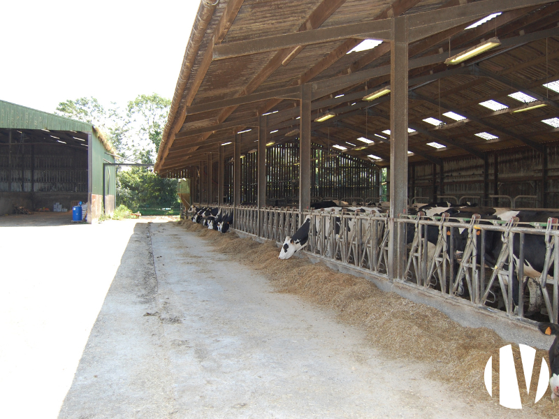 Finistère, Beautiful 1,200,000 L dairy farm with 120 ha of grazing land - 