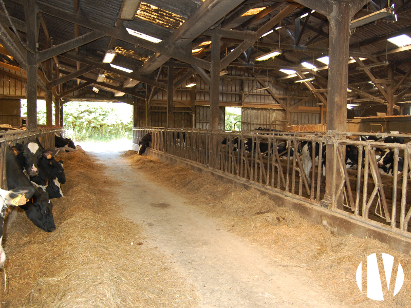 Finistère, Beautiful 1,200,000 L dairy farm with 120 ha of grazing land - 