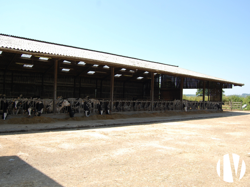 Finistère, Beautiful 1,200,000 L dairy farm with 120 ha of grazing land - 