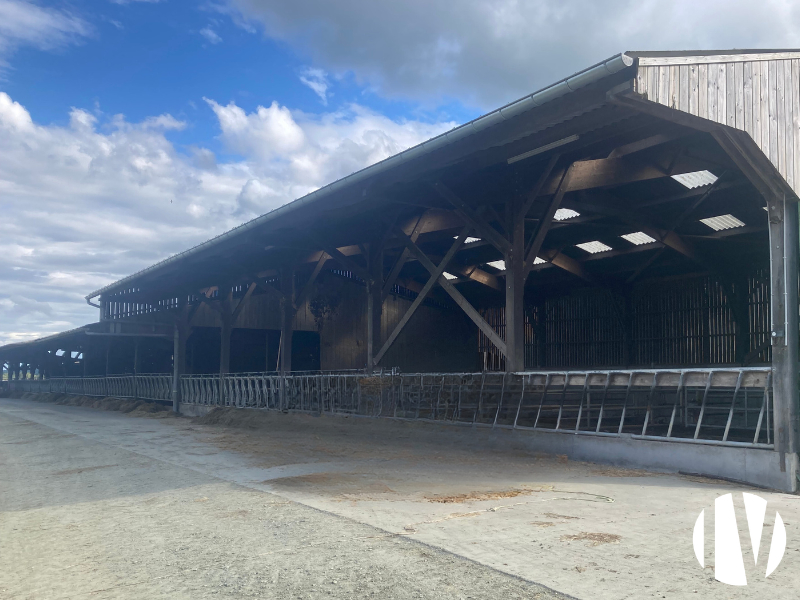 Pays de la Loire, attractive dairy farm with high-performance processing facility - 