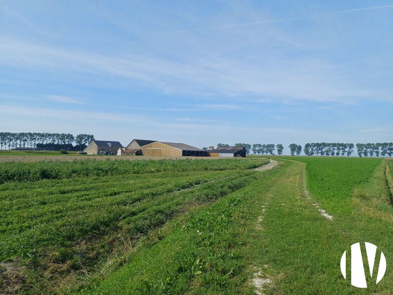 Sud Manche légumes de plein champ en bio - 