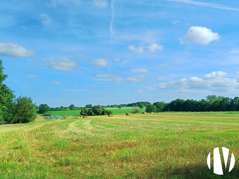 Loire-Atlantique, mooie, efficiënte en winstgevende geitenboerderij op 70 hectare. - 