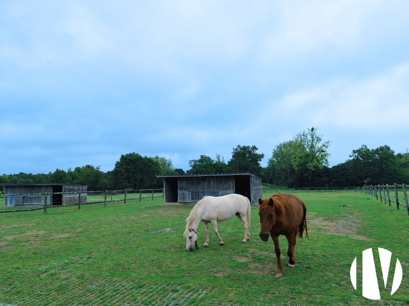 ILLE ET VILAINE. Beautiful 11-hectare equestrian opportunity on the outskirts of Rennes - 