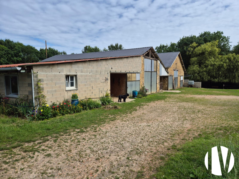 VIENNE, belle propriété équestre de caractère sur 70 hectares - 